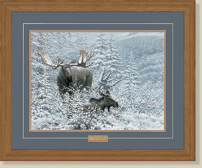 (image for) Patient Suiter-Moose by Michael Sieve